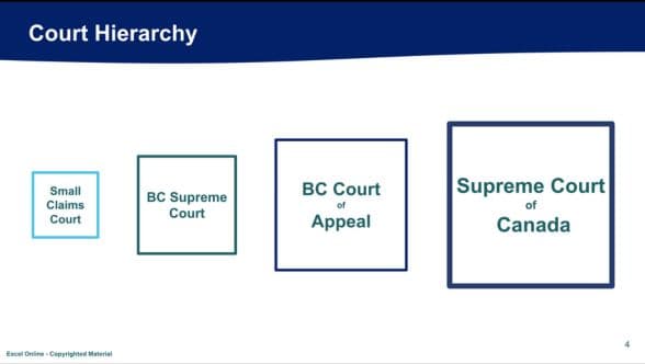 Curriculum preview 2